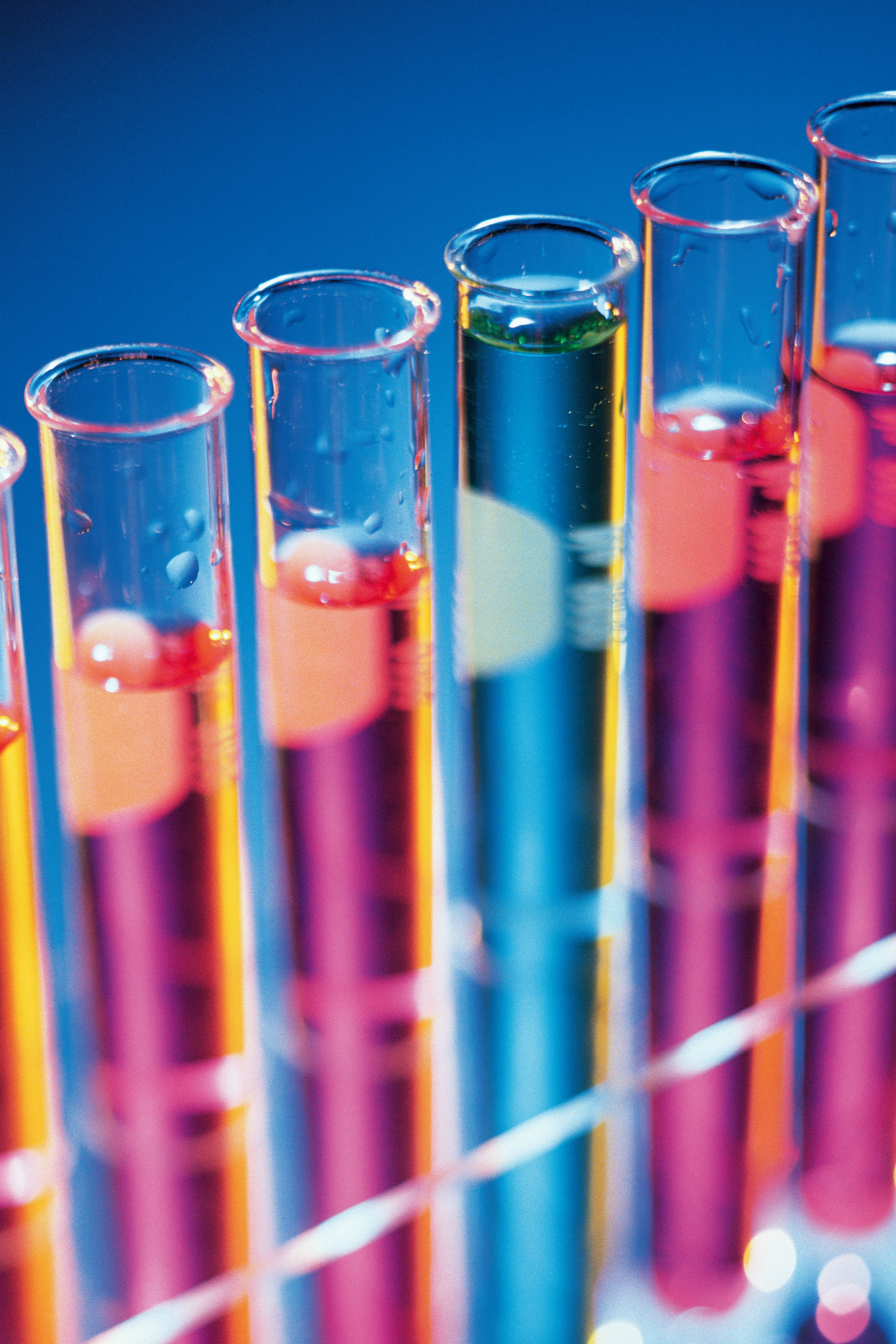 NICD study shows high levels of candida auris infections in private hospitals - Medical Brief 265 - 8 Aug 2019